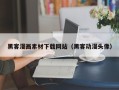 温州黑客漫画素材下载网站（黑客动漫头像）